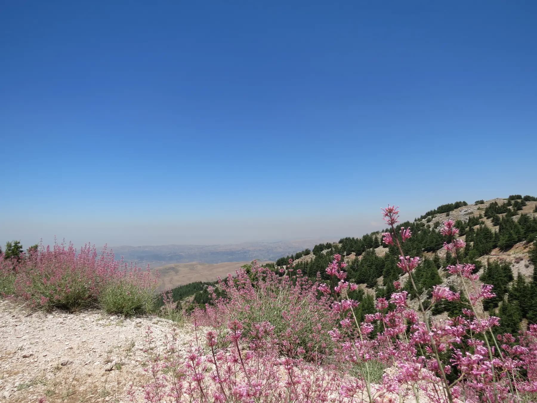 Shouf Biosphere Reserve in Lebanon